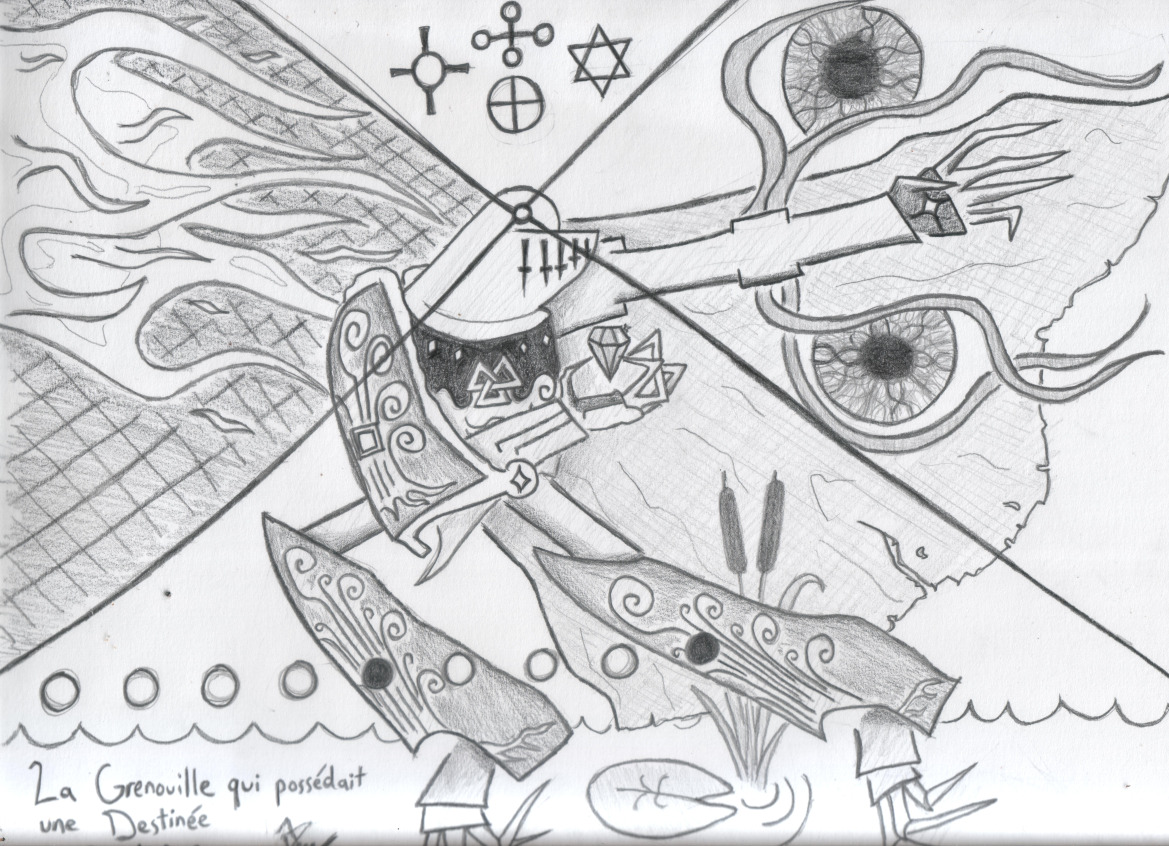 la grenouille qui possedait une destine_vld.jpg